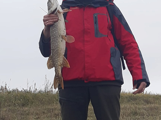 Щука поймана!