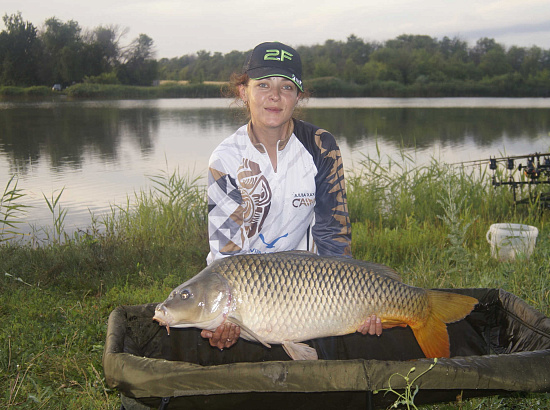 Трофейный карп