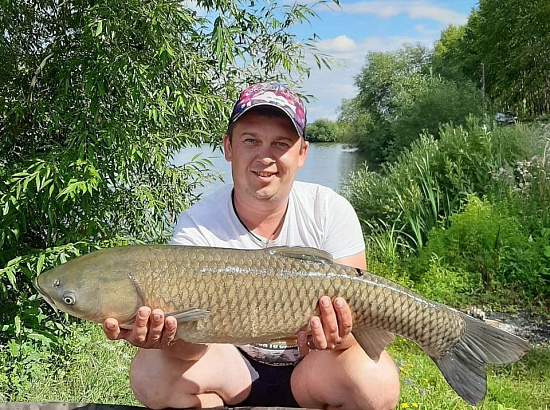 Трофейный карп!